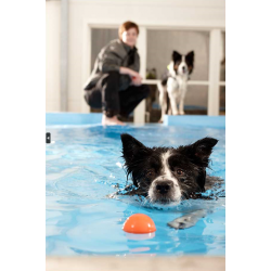 Book hundesvøm