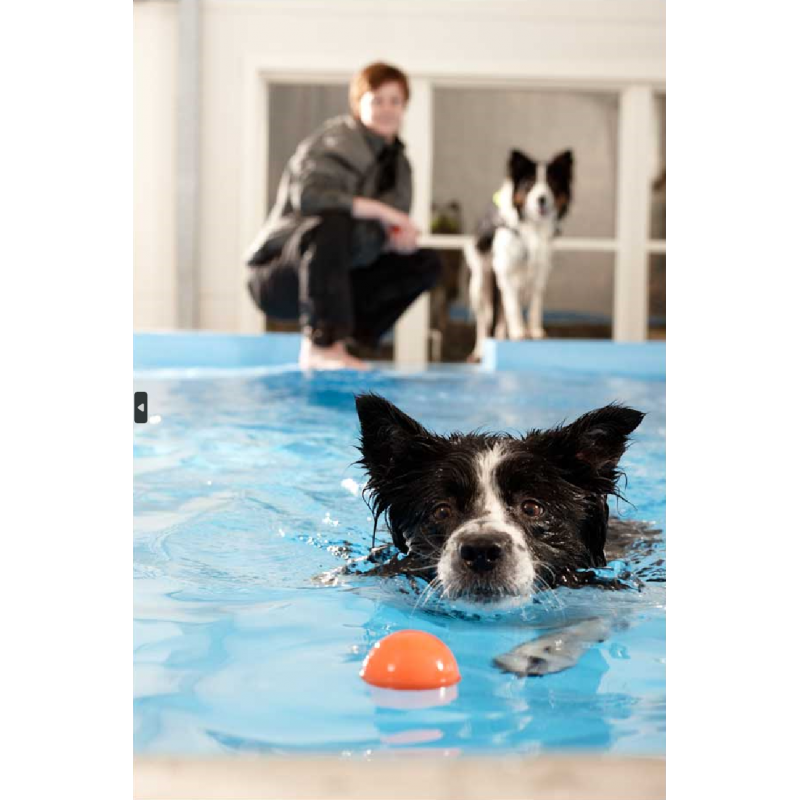 Book hundesvøm